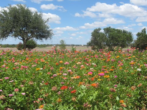 Things I Learned from My Mother